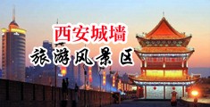 男人把鸡巴插入女生小骚逼里的网站视频中国陕西-西安城墙旅游风景区